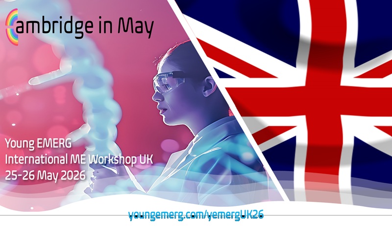 Young EMERG Workshop 2026